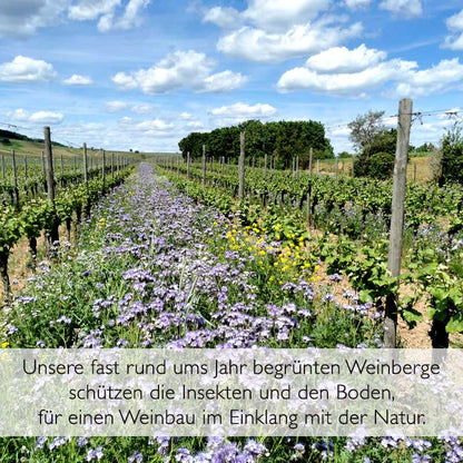 2021er Pinotin Qualitätswein feinherb