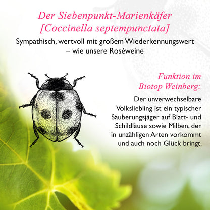 2021er Spätburgunder Weißherbst Qualitätswein feinherb